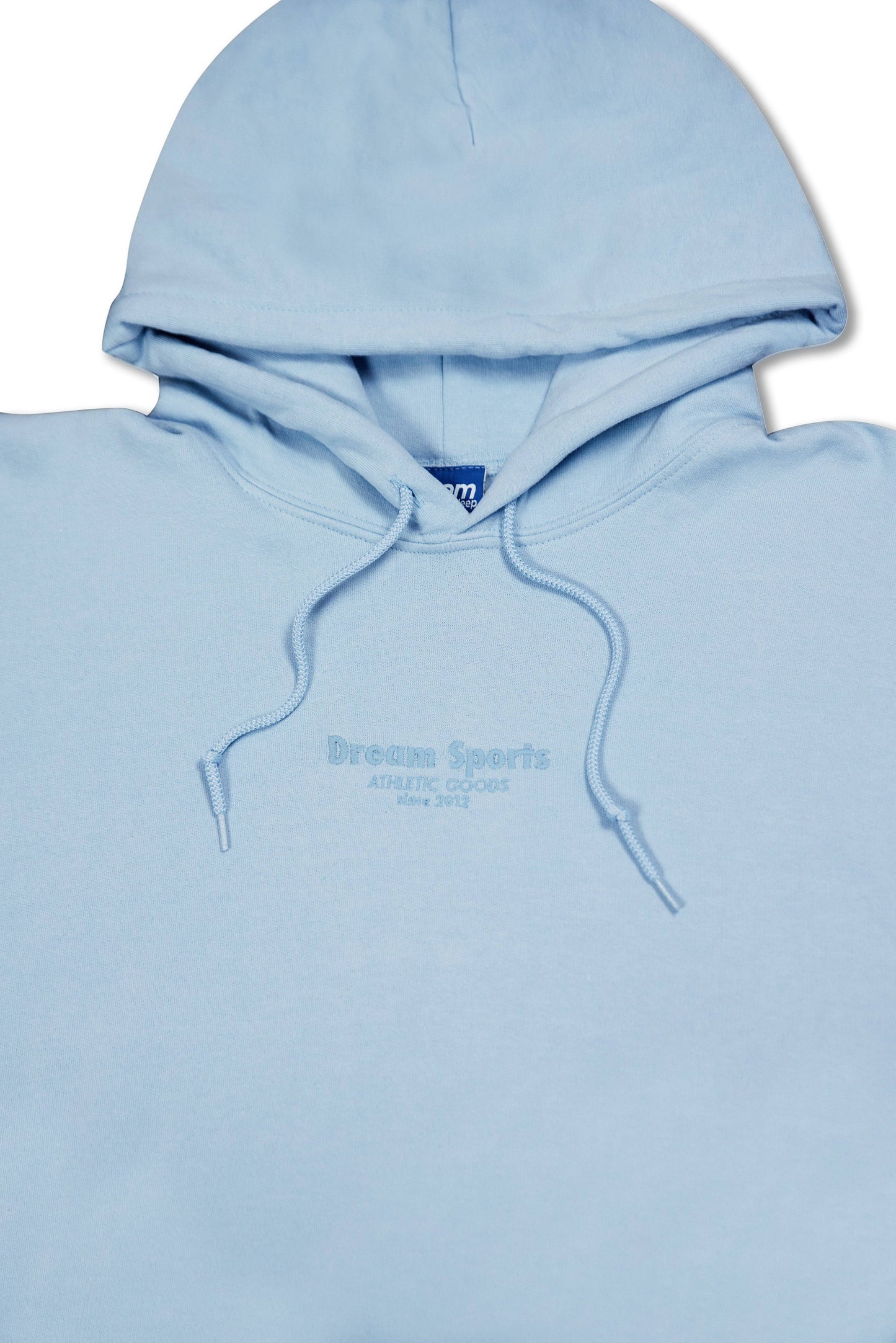 Hoodie in Light Blue with Dream Sports Tonal Logo Embroidery-1