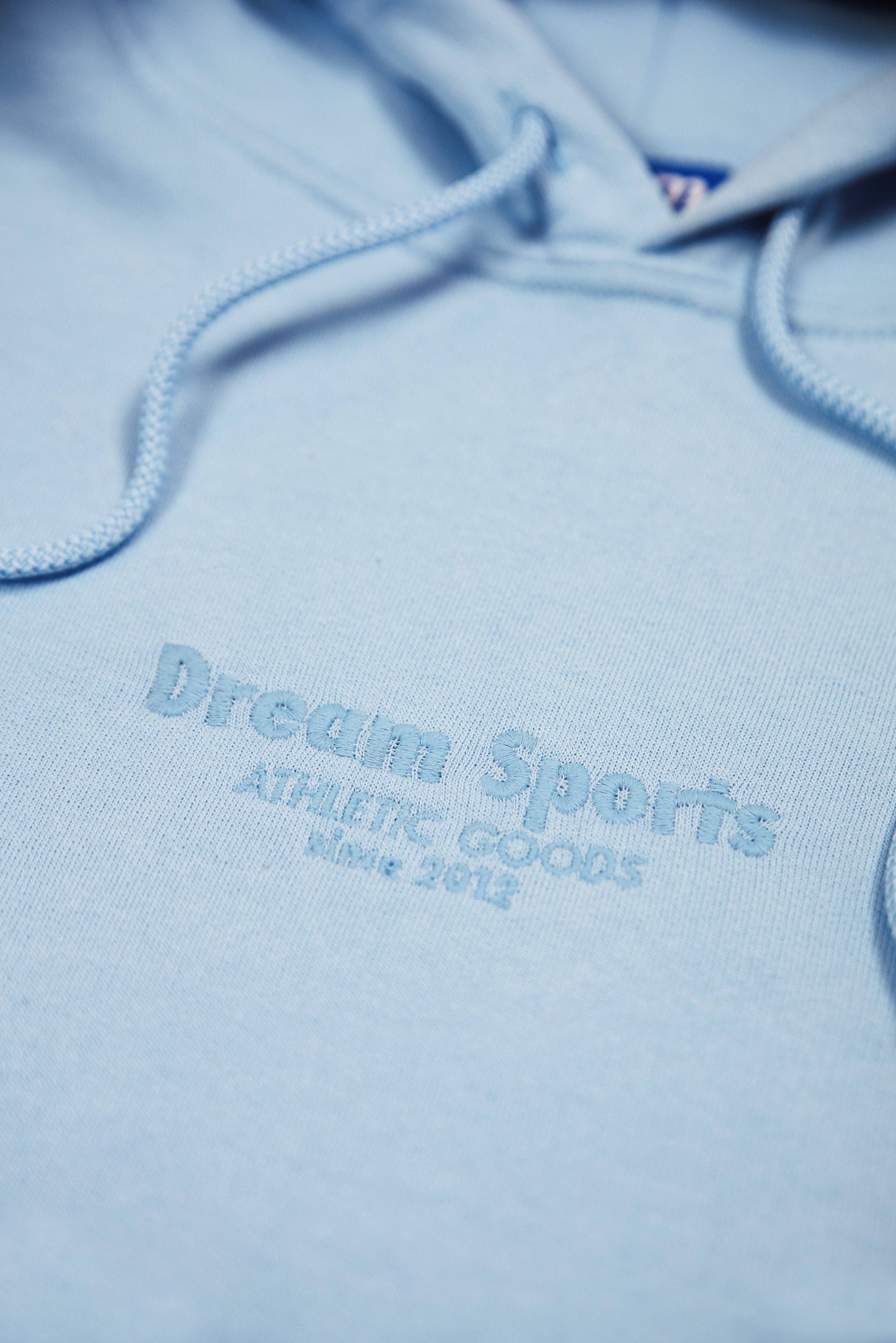 Hoodie in Light Blue with Dream Sports Tonal Logo Embroidery-2