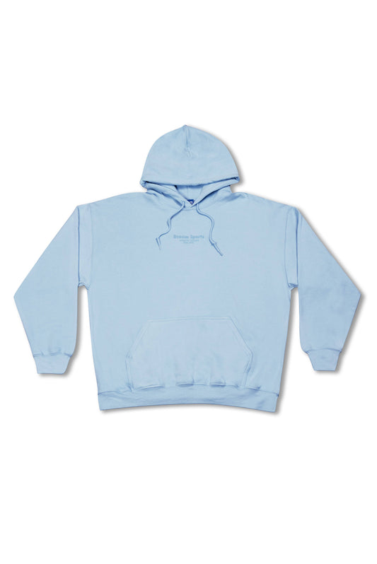 Hoodie in Light Blue with Dream Sports Tonal Logo Embroidery-0